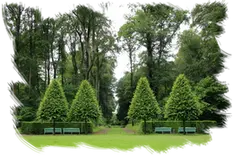 Empresa de tala y podas en altura Desbroces y jardinería